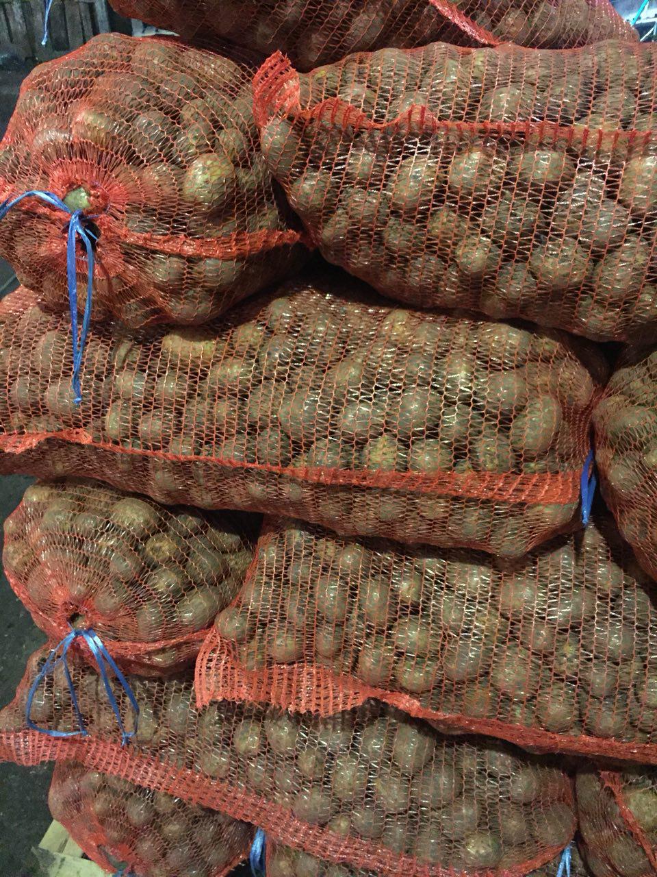 Продажа Семенного Картофеля В Магазине
