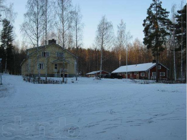 Финляндия Пункахарью, 3 га в городе Санкт-Петербург, фото 3, Ленинградская область