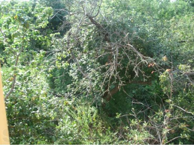 Меняю дом в Задонске с. Болховское на Воронеж или Рамонский р-он в городе Воронеж, фото 4, стоимость: 0 руб.