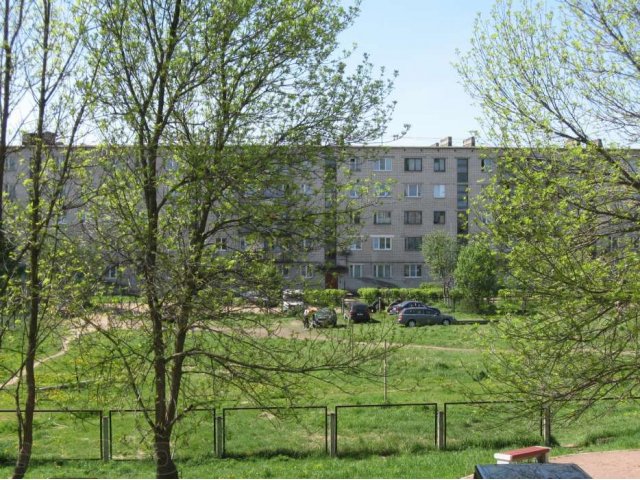 Меняю 2 к. квартиру под Питером на Подмосковье в городе Санкт-Петербург, фото 1, Обмен недвижимости