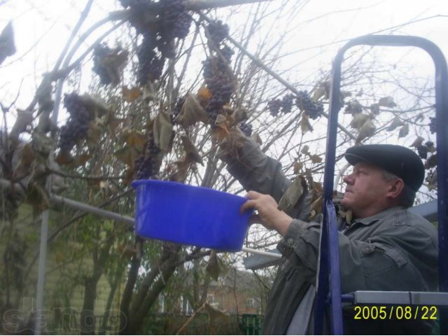 Меняю 2 дома в Краснодарсом крае на дом или квартиру в Тюмени в городе Тюмень, фото 4, стоимость: 0 руб.