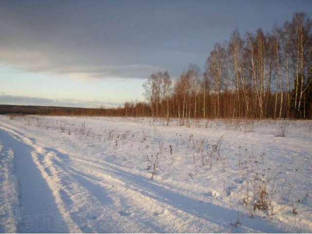 Меняю 570 соток(120км от МКАД) земли на стройматериалы или на авто в городе Жуков, фото 5, Калужская область