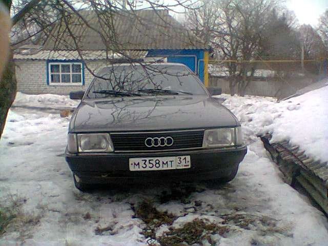 AUDI 100 в городе Губкин, фото 1, стоимость: 150 000 руб.