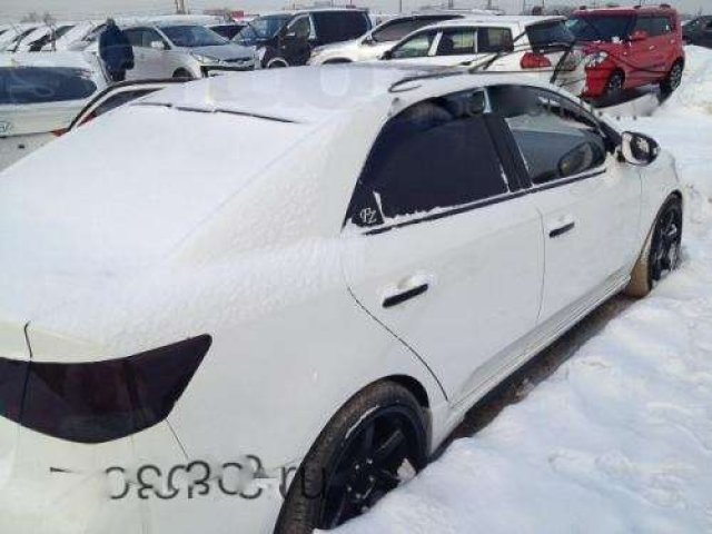 Kia Cerato (Forte), 2009г. Без пробега. 650 000р. в городе Краснодар, фото 3, KIA