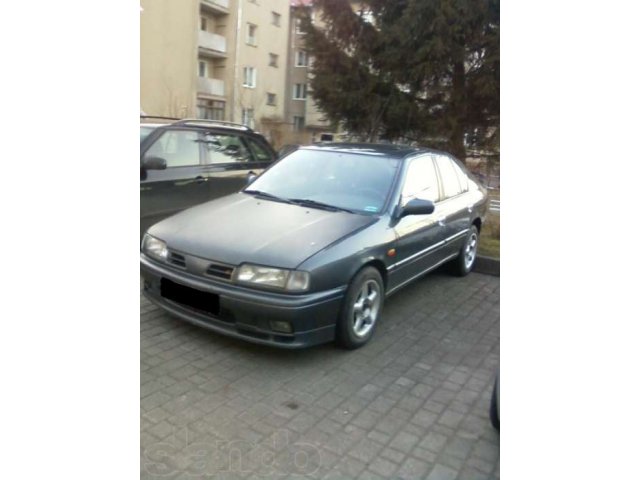Продам Nissan Primera 1996г. в городе Светлогорск, фото 1, стоимость: 150 000 руб.