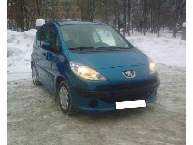 Пыжик в городе Пермь, фото 2, Peugeot