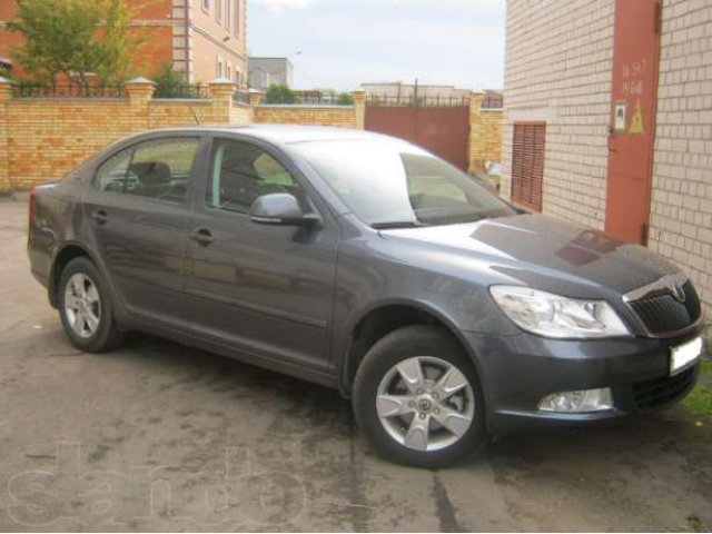 Skoda Octavia в городе Великий Новгород, фото 1, Новгородская область