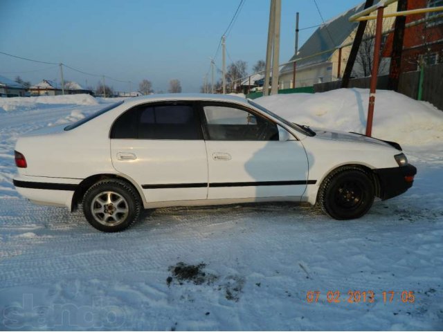 Промда в городе Новосибирск, фото 5, Новосибирская область