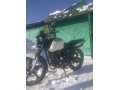 Cobra sport в городе Ижевск, фото 1, Удмуртия