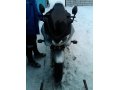 Продаётся Suzuki GSF 600 S Bandit в городе Воронеж, фото 1, Воронежская область