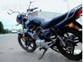 Yamaha YBR 125 в городе Воронеж, фото 1, Воронежская область