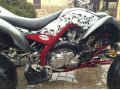 Yamaha YFM 700R Raptor Special Edition 2010 в городе Ростов-на-Дону, фото 7, Ростовская область