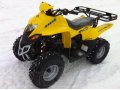 Квадроцикл Stels Atv 110D в городе Нижний Новгород, фото 5, стоимость: 79 900 руб.