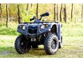 Stels ATV 450Н, 2012 г в городе Омск, фото 6, Квадроциклы