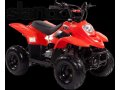 Продам квадроцикл DINGO ATV50S в городе Новосибирск, фото 1, Новосибирская область