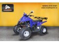 Детский квадроцикл Stels ATV 110D - бесплатная доставка, гарантия, официальный дилер в городе Ростов-на-Дону, фото 1, Ростовская область