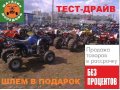 Новый квадроцикл - снегоход Atv Treck в городе Санкт-Петербург, фото 7, Ленинградская область