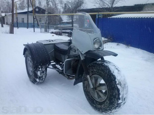 Булевар в городе Сенгилей, фото 4, Снегоходы