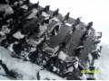 Продам снегоход polaris switchback assault 144 orang, в городе Череповец, фото 2, стоимость: 370 000 руб.
