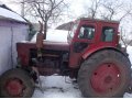 Трактор Т-40АМ в городе Воронеж, фото 1, Воронежская область