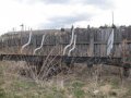 Продам прицеп тракторный лесовозный в городе Красноярск, фото 1, Красноярский край