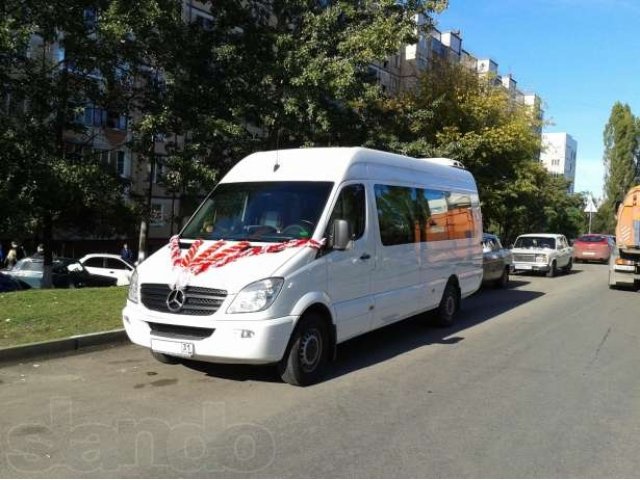 обслуживание свадеб торжеств, пассажирские перевозки Белгород. в городе Белгород, фото 2, Белгородская область