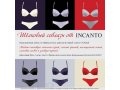 Директор в магазин нижнего белья Incanto в городе Владивосток, фото 5, стоимость: 0 руб.