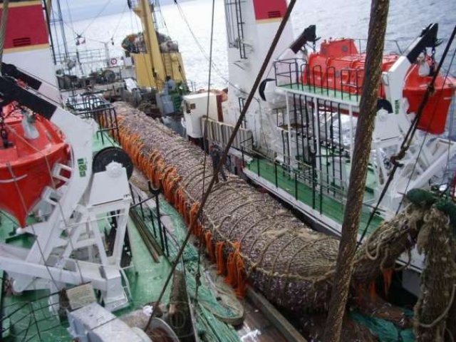 Матросы для работы в море,выход апрель месяц. в городе Санкт-Петербург, фото 1, Ленинградская область