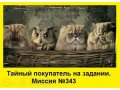 Требуются аудиторы (тайные покупатели) в городе Ростов-на-Дону, фото 1, Ростовская область