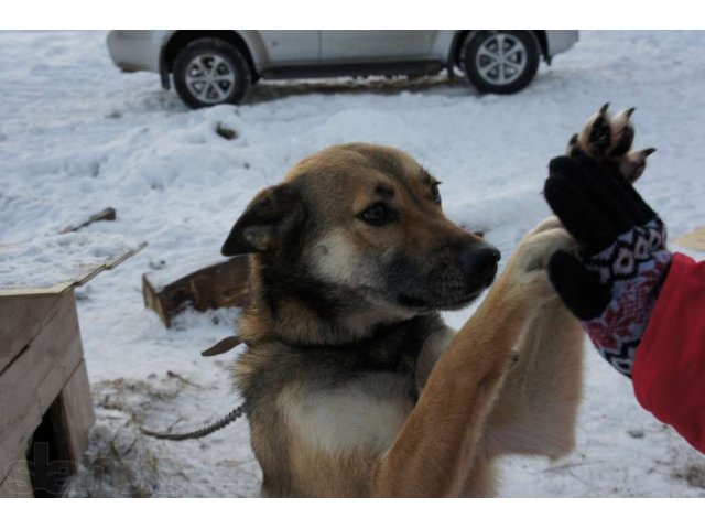 Охранницы и компаньоны в дом в городе Екатеринбург, фото 7, стоимость: 0 руб.