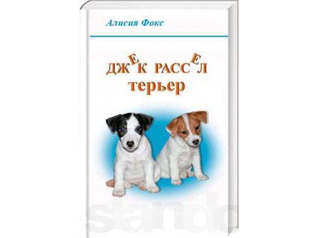 Джек Рассел терьер книгу продам в городе Сыктывкар, фото 1, Собаки