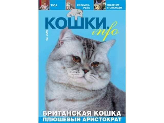 Кот Анри Мари Раймон приглашает кошек на вязку в городе Тамбов, фото 3, Тамбовская область