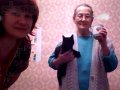 отдам молодую кошечку ,возраст 3 мес,в добрые руки в городе Калининград, фото 1, Калининградская область