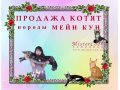 Продажа мейн кунов- кошек великанов в городе Орлов, фото 1, Кировская область