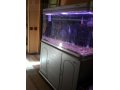 Продам аквариум в городе Нерюнгри, фото 1, Республика Саха
