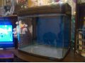 аквариум jebo в городе Воронеж, фото 1, Воронежская область