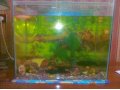 Продам аквариум на 100 литров в городе Воронеж, фото 1, Воронежская область