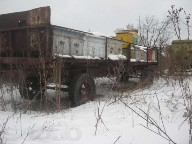 Ппродам пасеку в городе Маркс, фото 1, Сельхоз животные