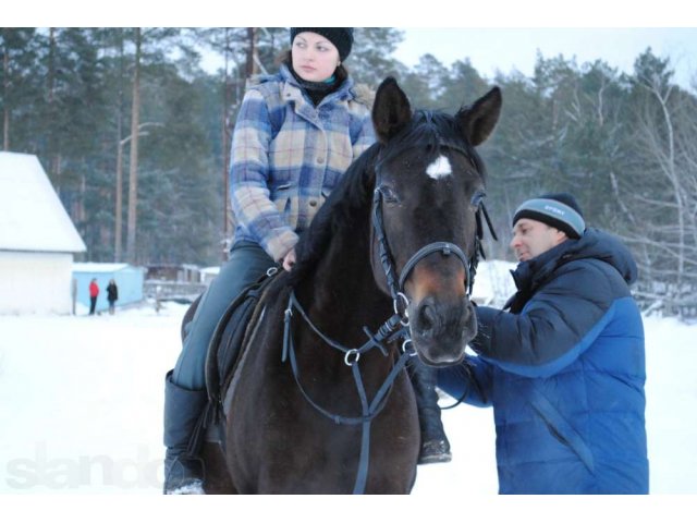 Продам тракененскую кобылу в городе Пенза, фото 1, Пензенская область