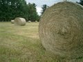 Сено в рулонах в городе Иркутск, фото 1, Иркутская область