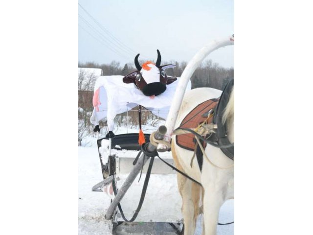 Санки для лошади в городе Йошкар-Ола, фото 2, стоимость: 30 000 руб.