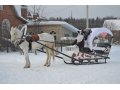 Санки для лошади в городе Йошкар-Ола, фото 5, стоимость: 30 000 руб.