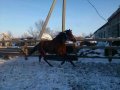 Скаковые лошади в городе Благовещенск, фото 3, Другие животные