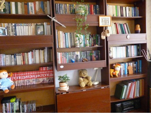 Стенка для книг, секции разборные, что очень удобно для установки в городе Березники, фото 1, стоимость: 700 руб.