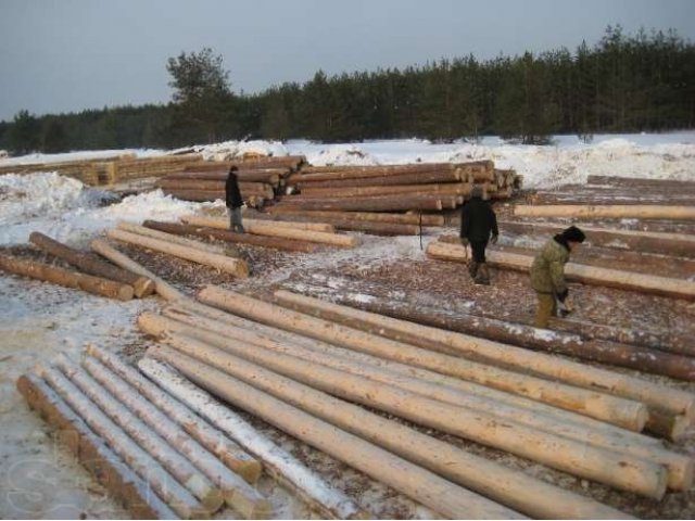 Срубы в городе Казань, фото 7, Лесопиломатериалы, столярные изделия