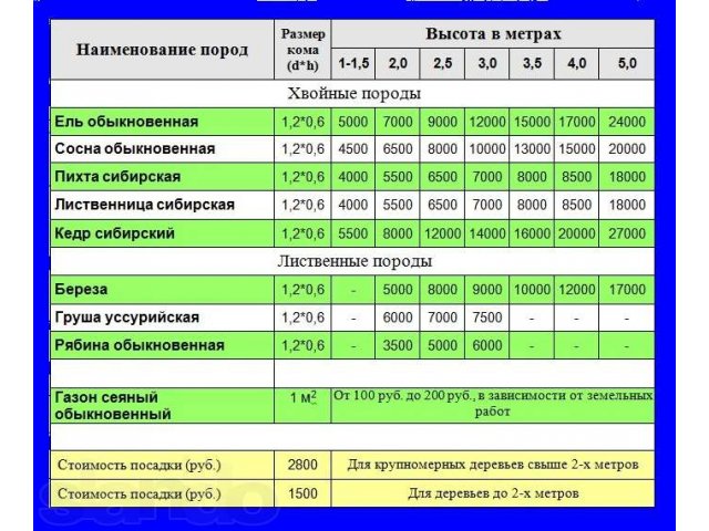 Стоимость Обрезки Кустарников