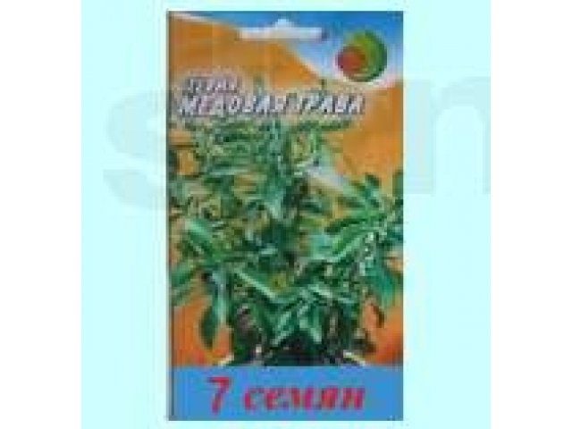 Семена стевии в городе Астрахань, фото 1, Садовые растения