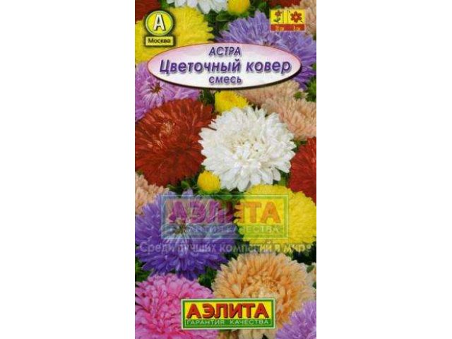 семена для сада и огорода в городе Ульяновск, фото 3, стоимость: 4 руб.