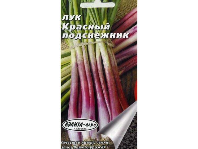 семена для сада и огорода в городе Ульяновск, фото 5, Ульяновская область