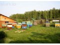 12-рамочные улья -качественно в городе Красноярск, фото 1, Красноярский край